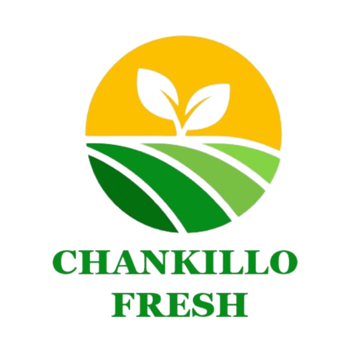 Chankillo Fresh