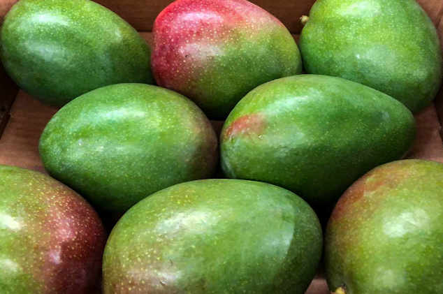 Proceso mango 4